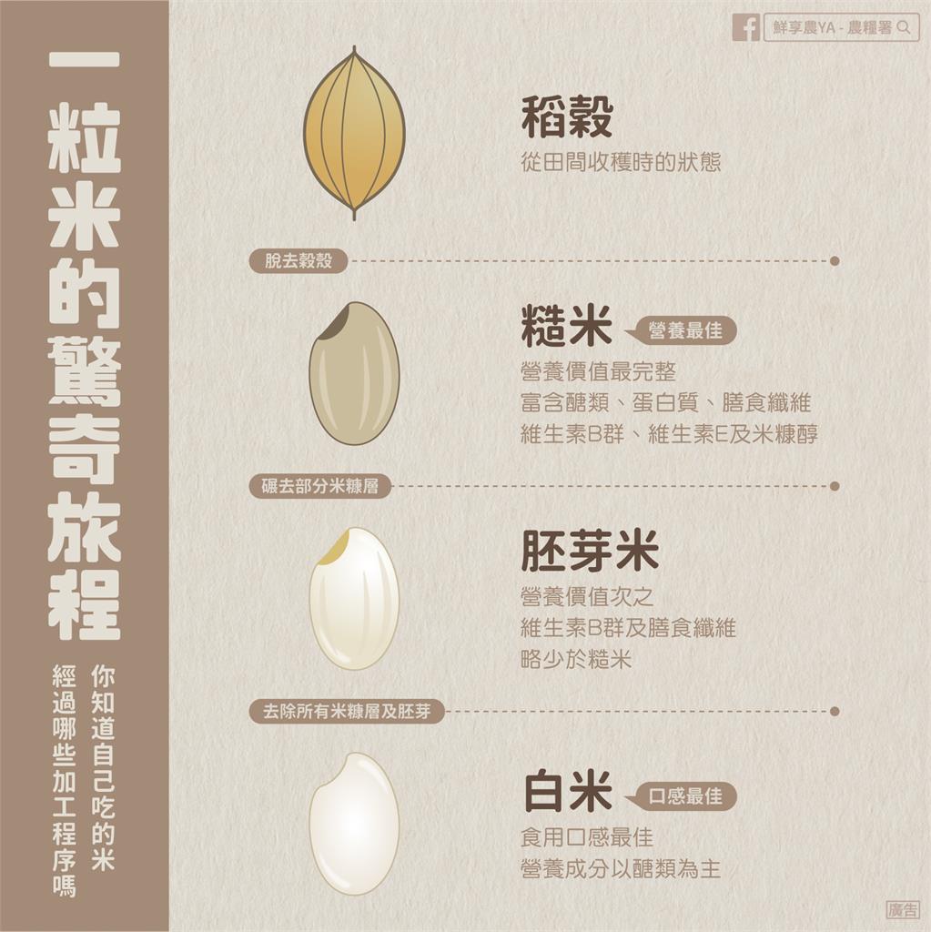 糙米、胚芽米、白米誰最營養？農糧署推「它」加碼曝混米「黃金比例」！