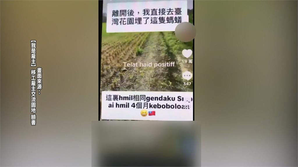 「地下藥后」網路賣墮胎藥　移工墮胎胚胎竟當垃圾丟