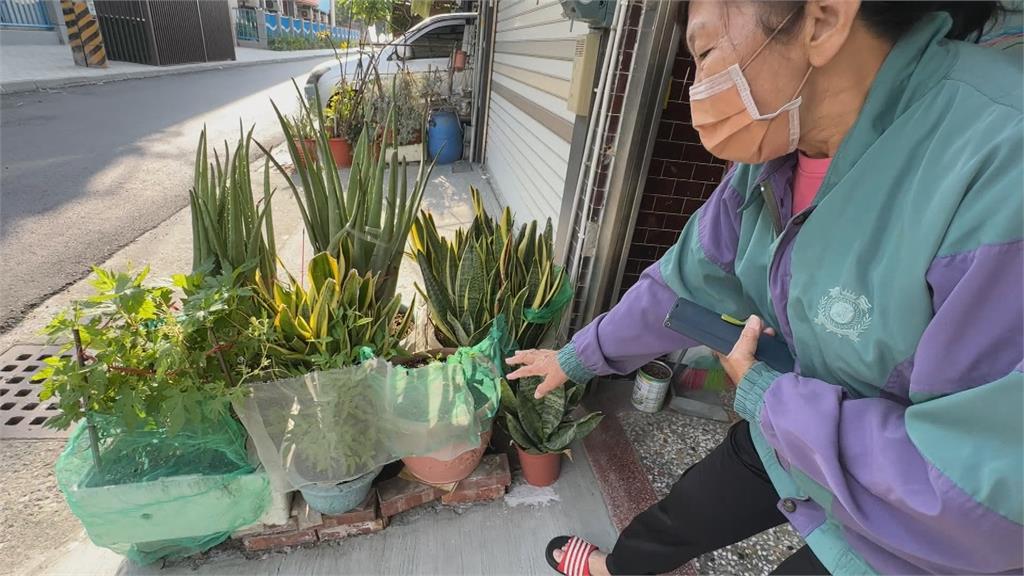 花盆裡藏「肉塊」! 高雄婦嚇到報警追查凶手大吃一驚