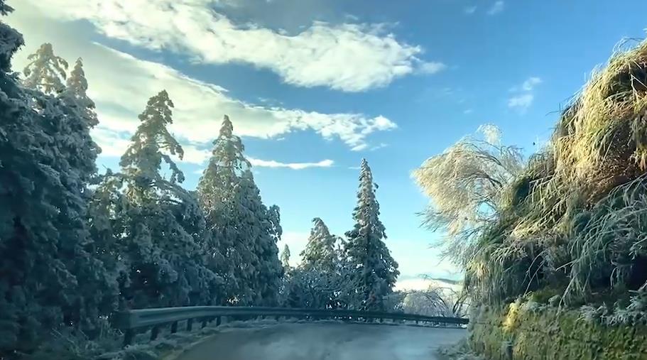 快新聞/氣溫下探-6度仍未飄雪 宜蘭太平山「霧淞」美景曝光