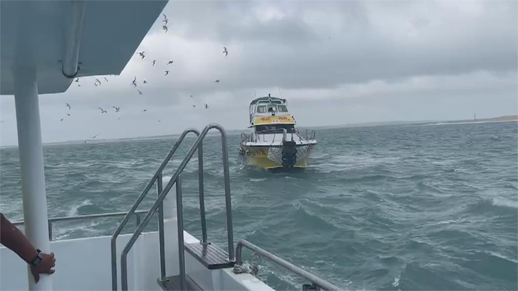 「瑪娃」颱風影響輕微　澎湖觀光船照常出海賞燕鷗