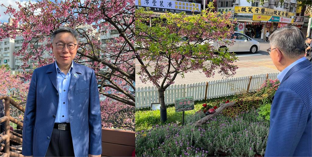 柯文哲老同事「台北走春見1幕」不勝唏噓!他嘆氣揭「關鍵種樹人」:現在在土城