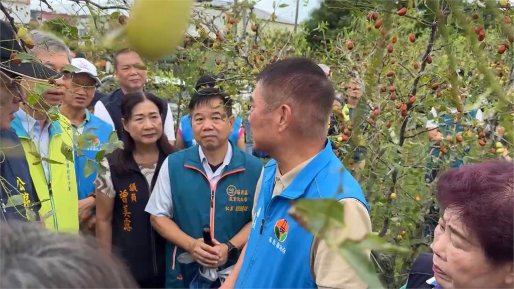 豪雨重創棗農！　苗栗公館「大量裂棗」農損近8成