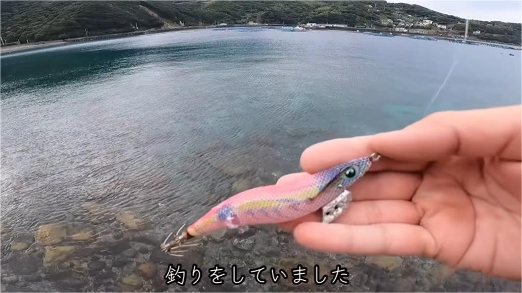 發現流量密碼！釣魚YTR溪邊救「落水小貓」意外暴紅　秒轉型萌寵頻道