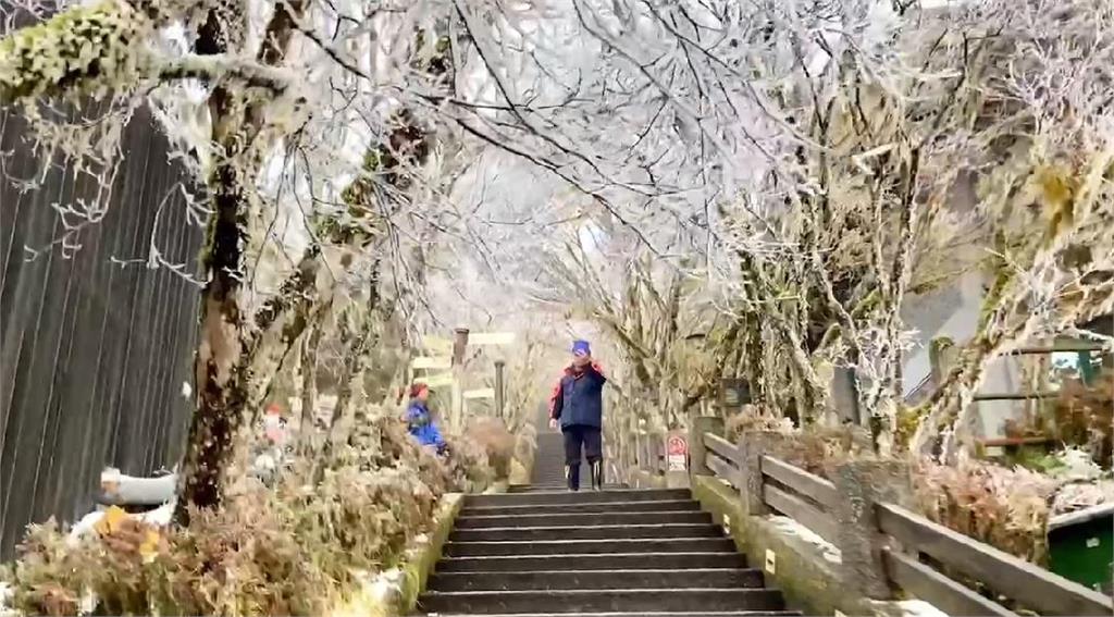 快新聞／太平山絕美霧凇雪景！　今開園「免裝雪鏈」也可上山