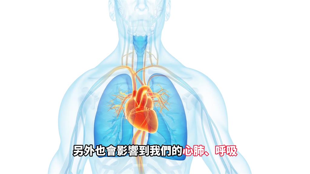 正妹YTR患「脊隨肌肉萎縮」成輪椅族　不治療恐惡化至心肺：最嚴重會死