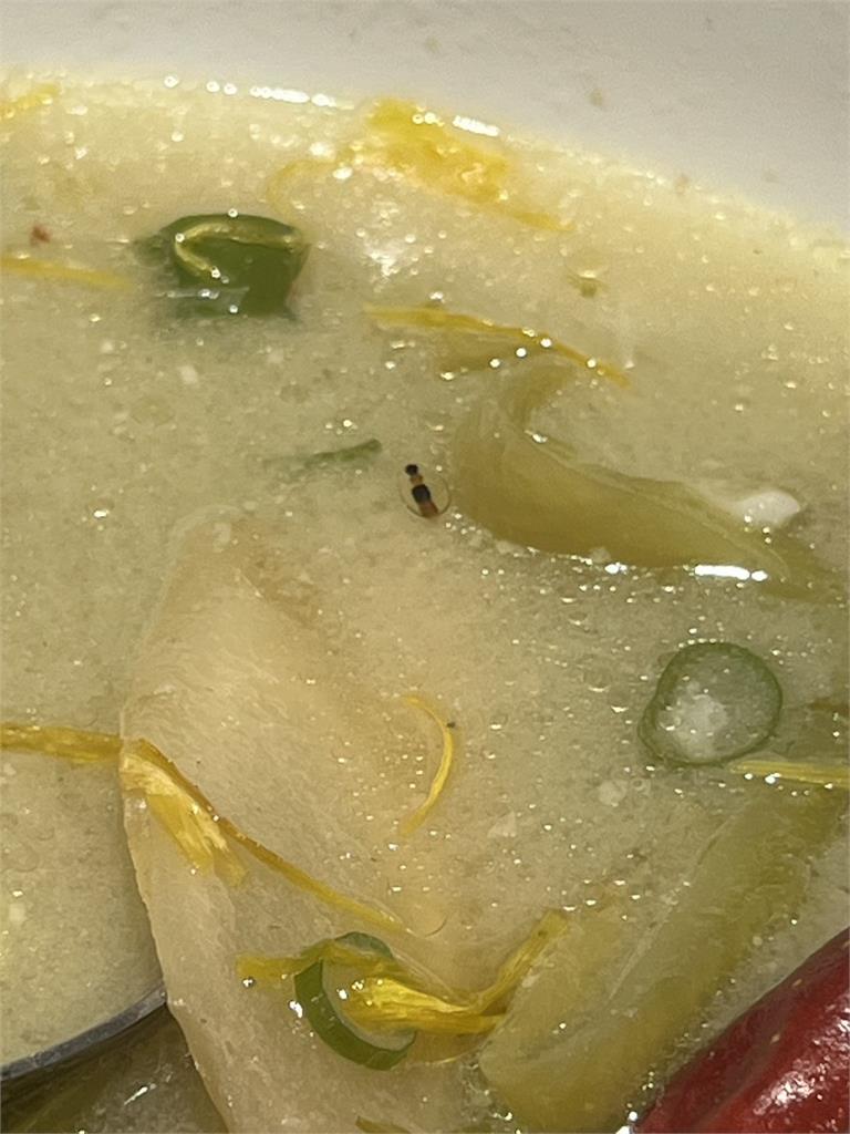 酸菜魚料理竟有隱翅蟲 餐廳一開始瞎扯是花椒粒