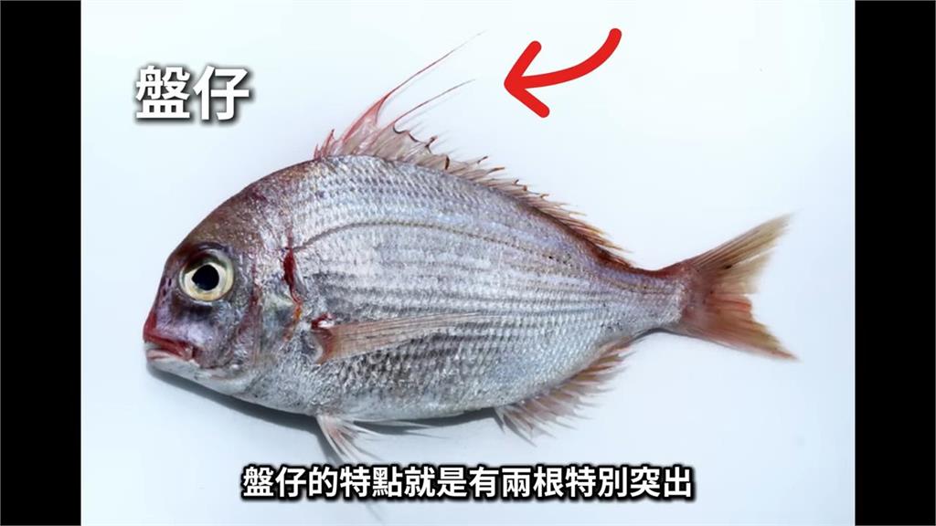 價差數倍買了變盤子！市場「買赤鯮變盤仔魚」　他揭挑魚關鍵看這點分辨