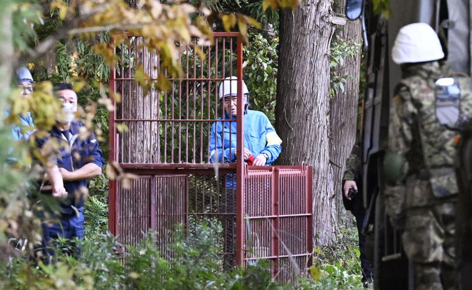 日本熊災遇到能活?他登山「只靠手腳」把熊打退網驚:敏捷+血條都超厚