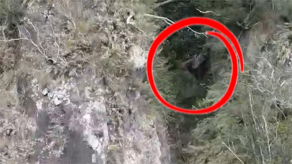 受困峭壁山洞近一週獲救　台東澳洲女婿馬修：不敢再上山