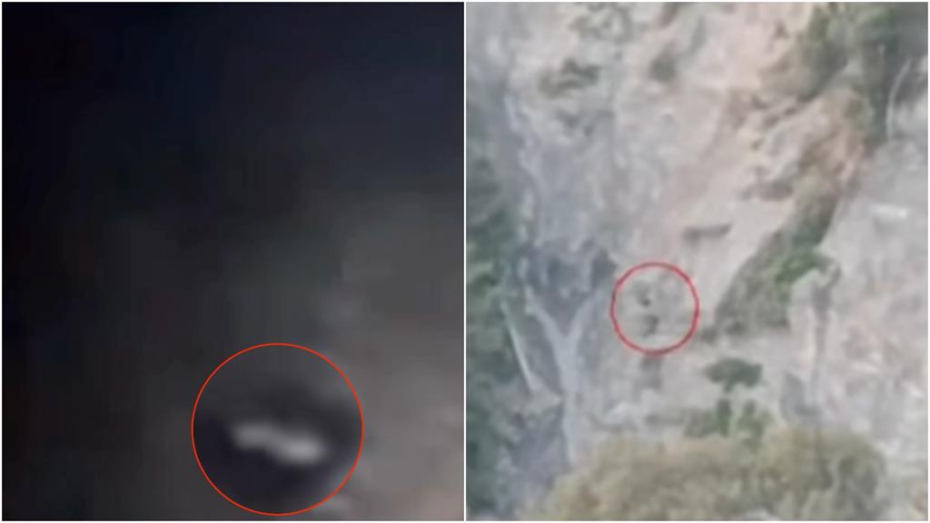 南投露營區350公尺外閃神秘身影！竟是黑熊「見人轉頭急走」畫面流出