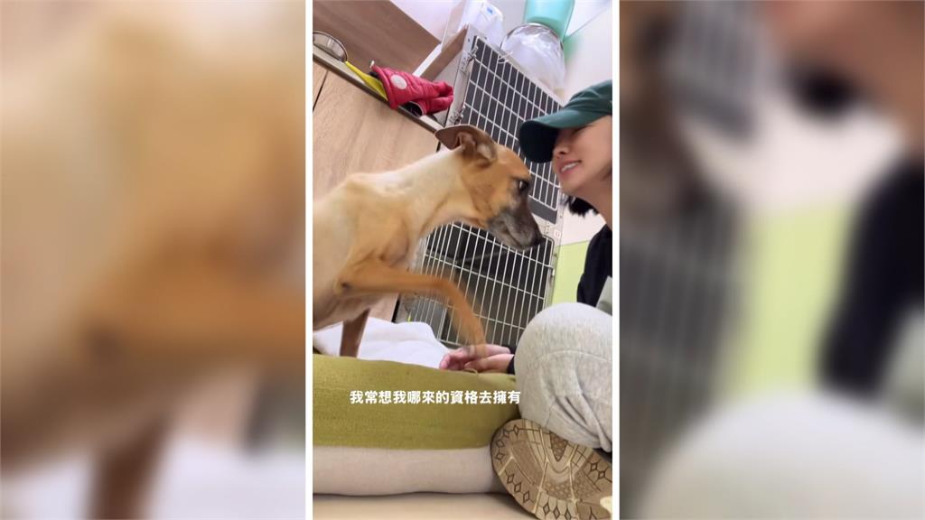 愛犬罹胃癌20天花9萬元 米可白:費用多少都沒關係