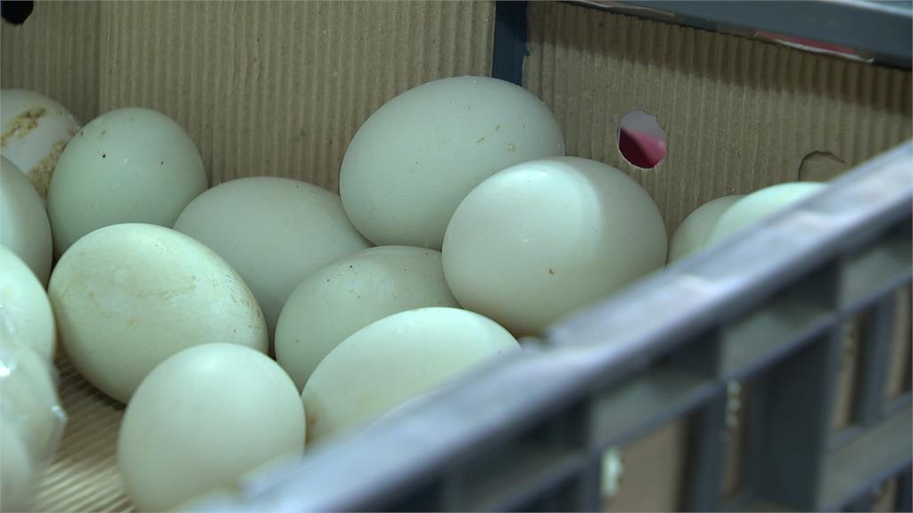 缺蛋未解「鴨蛋也開漲？」　陳吉仲：雞蛋產量會逐漸回升