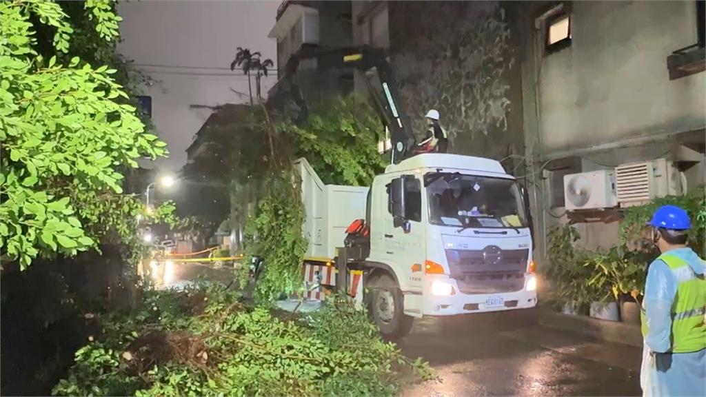 青田街停車場內"10公尺高路樹"倒塌　四輛車遭波及