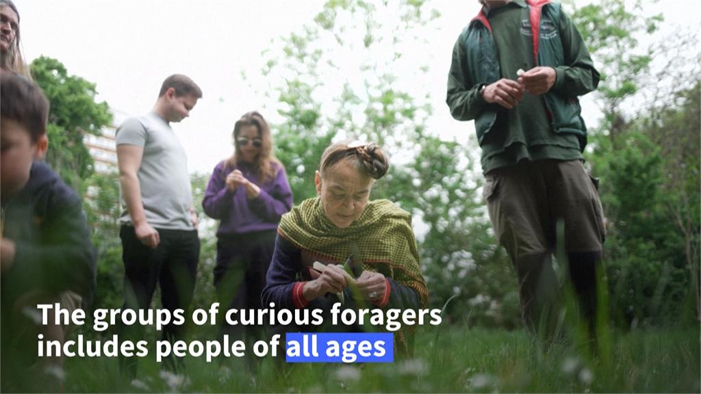 超特別戶外課! 英國老師帶學員「探索墓園採野草吃」