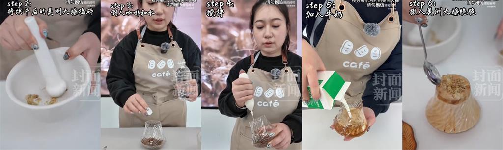 美洲大蠊養殖場推「雙馬尾咖啡」!她連喝2杯「蟑螂醬、蟑螂脆脆」口感曝光