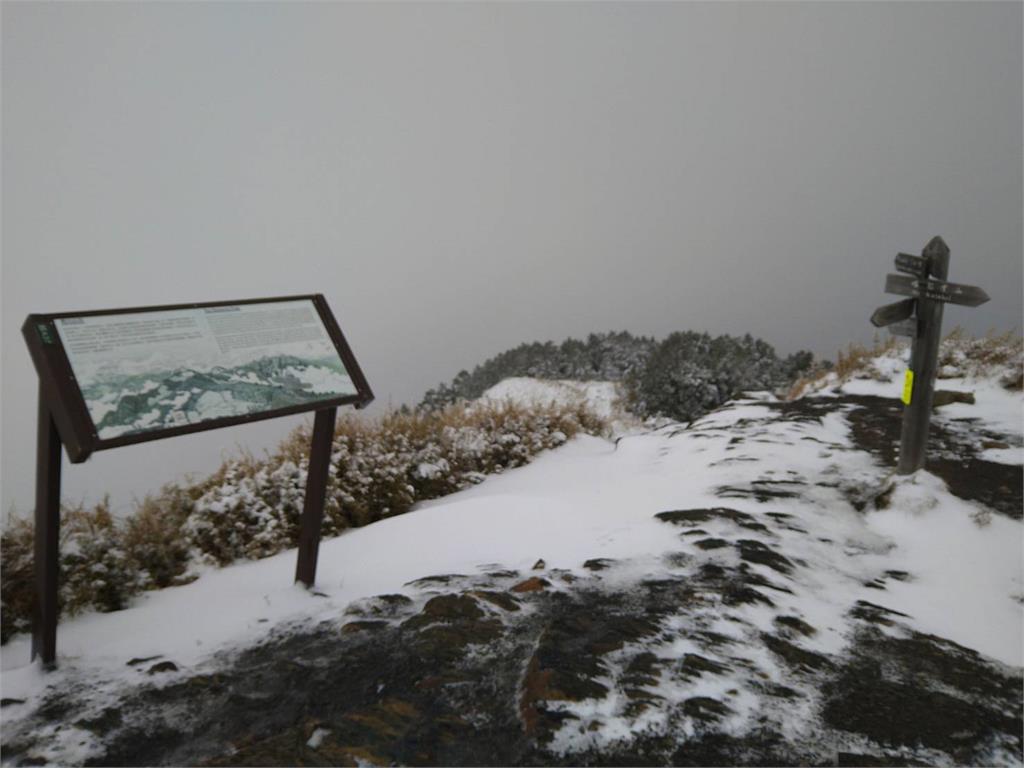 快新聞／雪霸桃山積雪超過20公分　山屋蓋上皚皚白雪「絕美畫面曝」