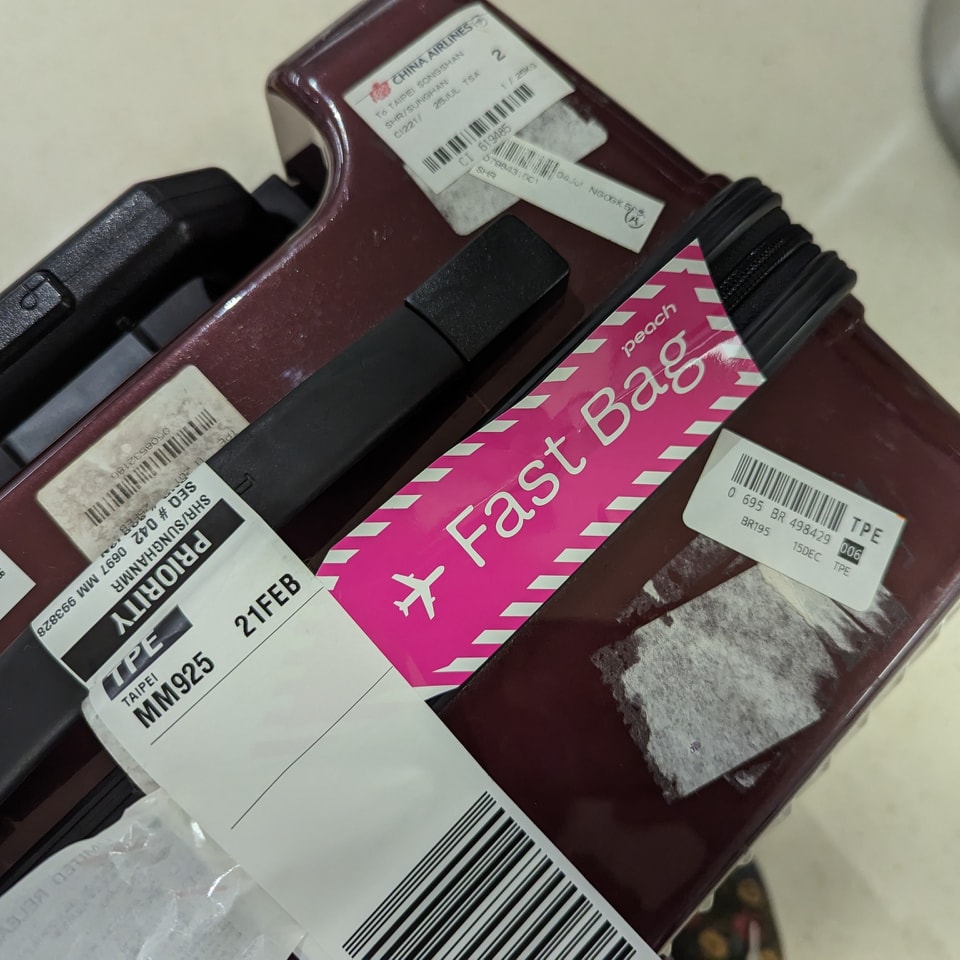 花136元買廉航1服務!旅日達人下機成VVIP「第1個拿行李」