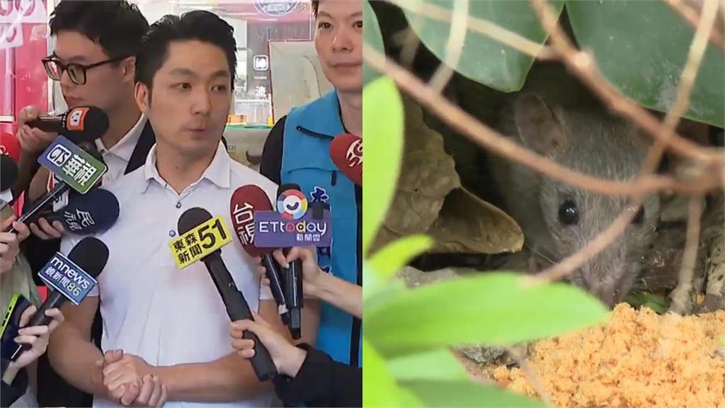 蔣萬安為消滅米奇推「鼠類偵防師、12區大清消」！他酸：阿扁政策複製貼上