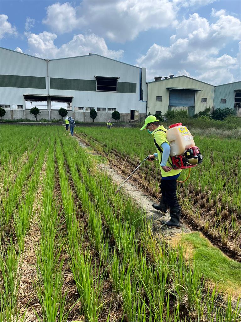 快新聞／高雄岡山新增2例本土日本腦炎　懸掛蚊燈監測