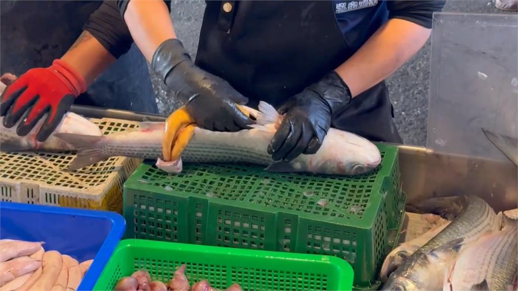 年終獎金入袋! 彰化漁民東引抓逾千尾"正頭烏"