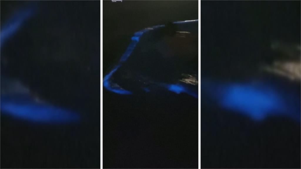 氣變遷警訊!巴西現藍眼淚 海面閃耀藍光吸引遊客