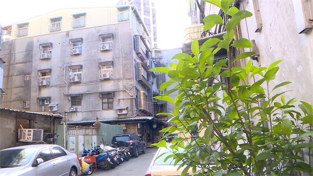 三重赫見「尿布小猴」　遭動保處帶回安置　飼主下場慘了！