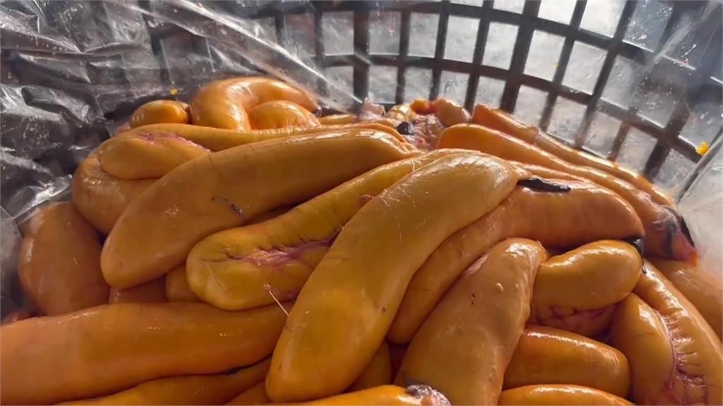 天氣轉冷野生烏魚報到! 高雄興達港「養殖烏魚卵」先搶市