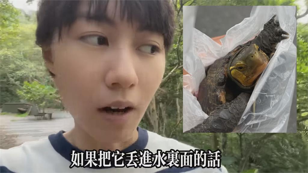 中國留學生路中央救1小生命　谷歌一查驚呆了：是台灣一級保護動物