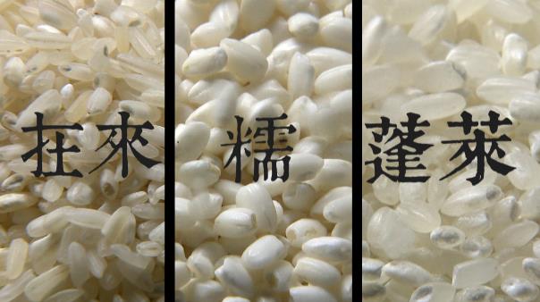 從「番薯籤飯」到「蓬萊米」——台灣人舌尖上的時代變遷