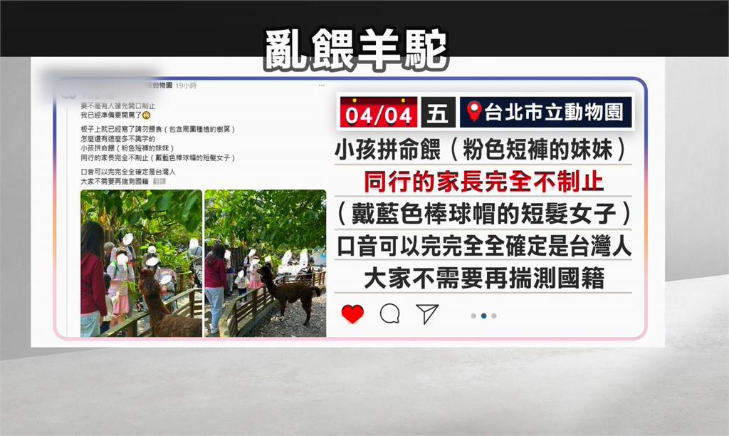 動物園禁餵動物 童抓樹葉餵羊駝家長未制止