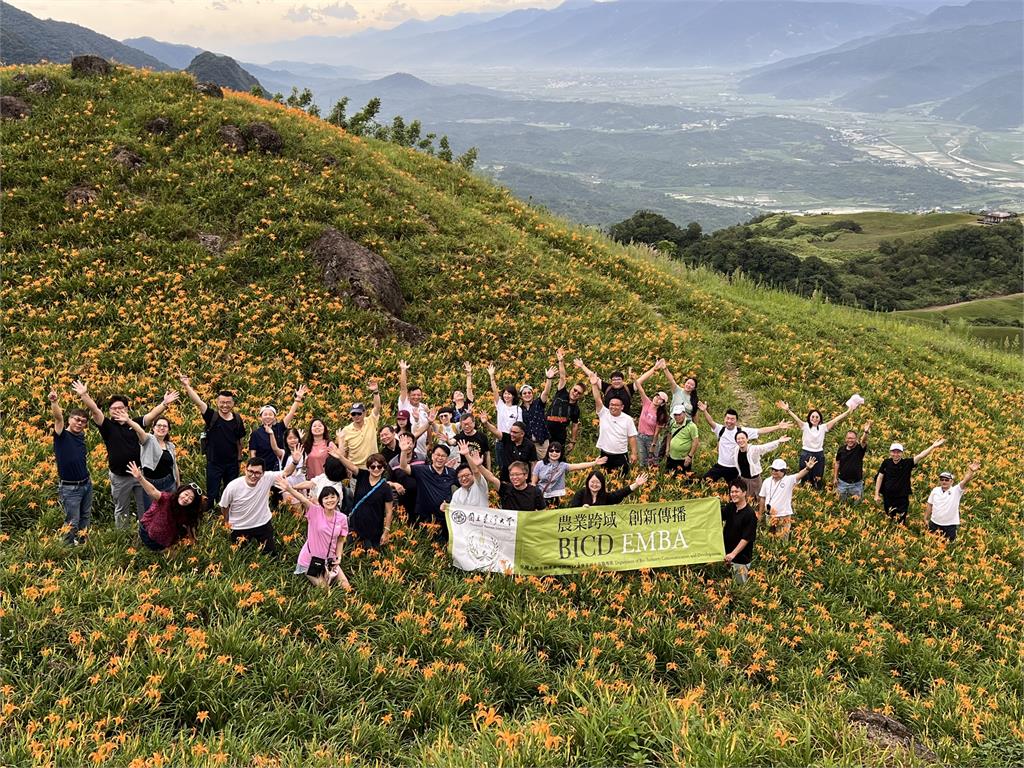 花蓮金針花季登場！　六十石山金黃花海綻放　