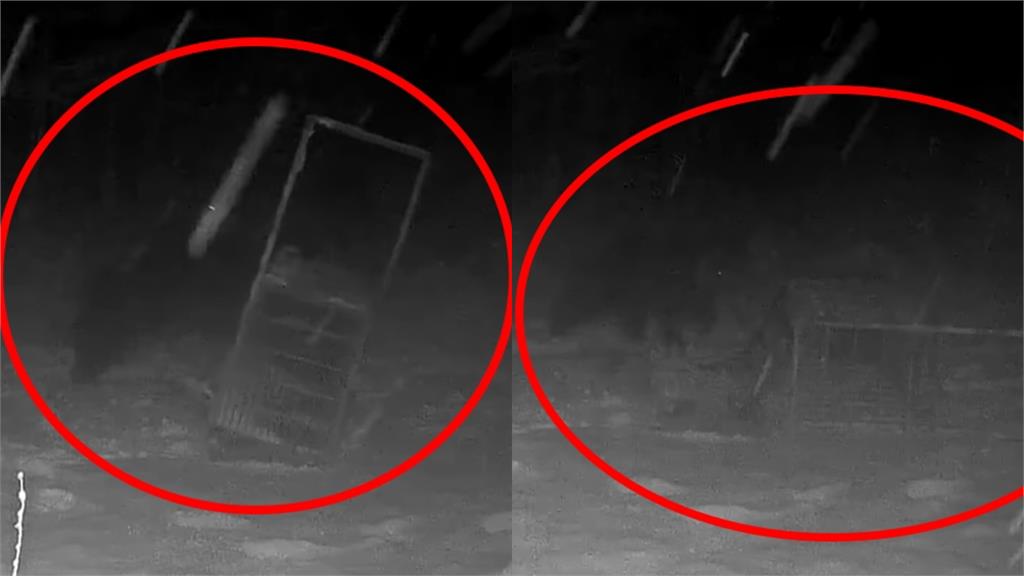 日本熊害鬥勇還要鬥智!北海道巨熊見「300公斤陷阱」沒上當⋯下秒反應全被拍