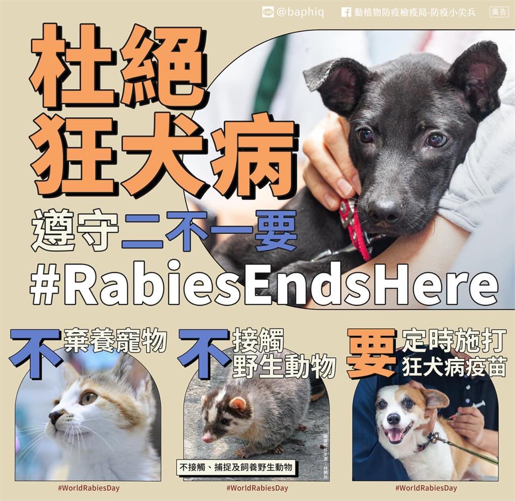 快新聞／苗栗縣再傳2起狂犬病鼬獾案例　動防所：犬貓儘速接種疫苗！