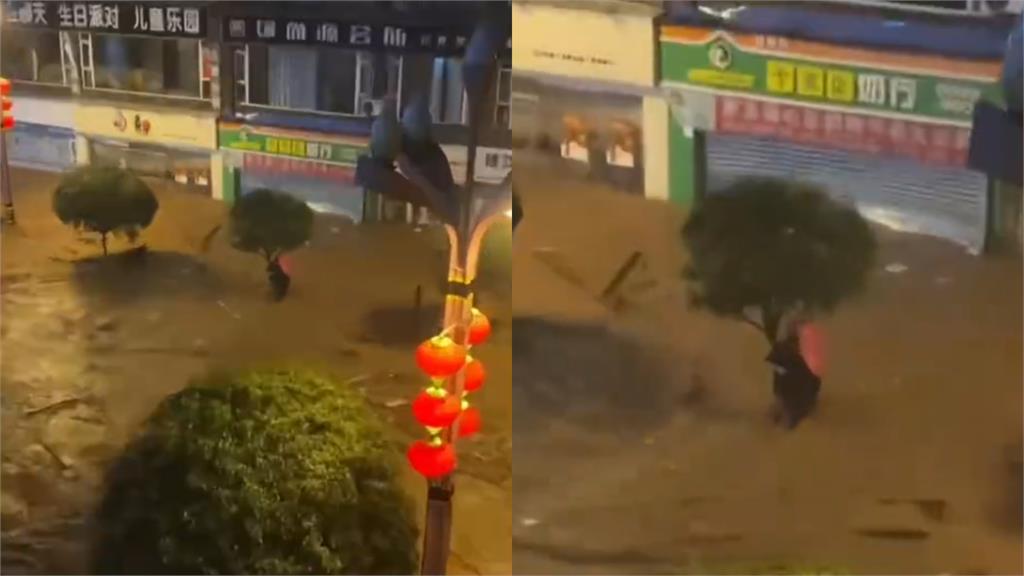 中國四川遭暴雨侵襲「水淹2.5公尺」！路人「抱樹求生」超慘畫面全被拍