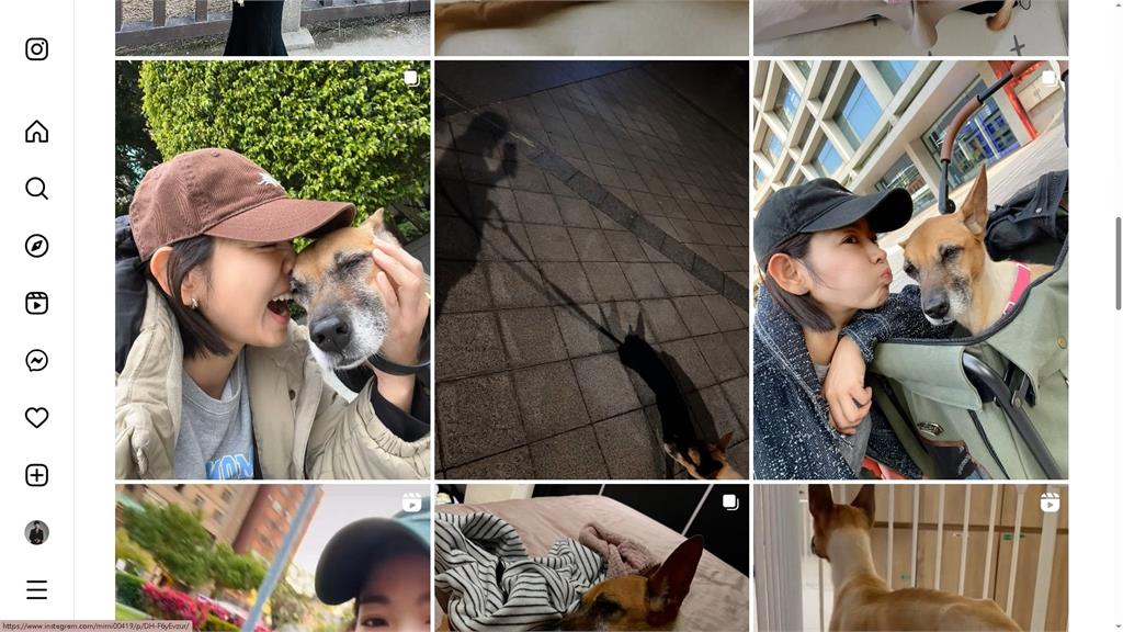 愛犬罹胃癌20天花9萬元 米可白:費用多少都沒關係
