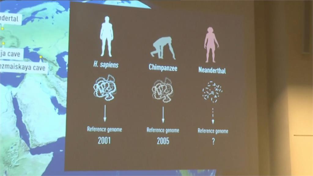 研究原始人類基因　瑞典遺傳學家「帕博」獲諾貝爾醫學獎