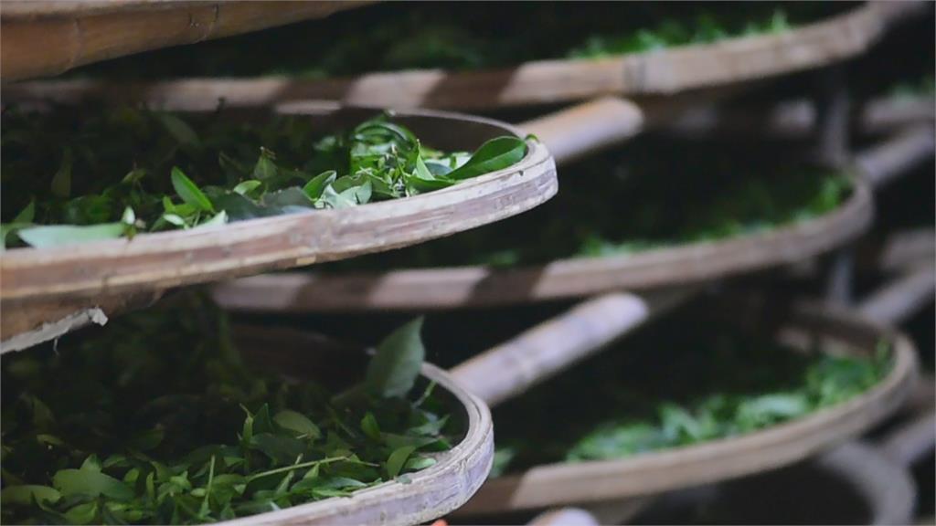 台茶之父魏靜時後代 推廣包種茶