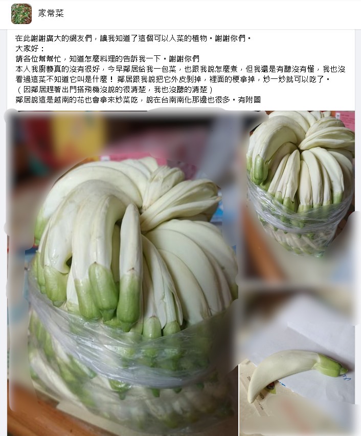 新品種香蕉?鄰居送「超奇特蔬菜」主婦看傻求救 神人曝解答