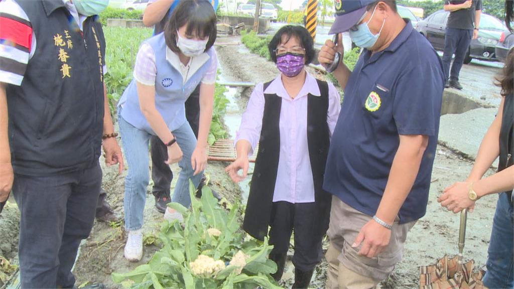 大雨過後...瓜果葉菜翻倍飆漲　主婦透露省錢撇步