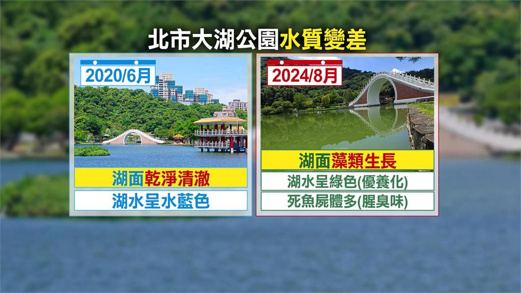 大湖公園水變綠色飄臭味　議員通報北市局處踢皮球