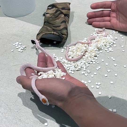 快新聞/不怕被咬?美佛州男「褲袋藏蛇欲過海關」遭抓包 網酸:能拍成電影了