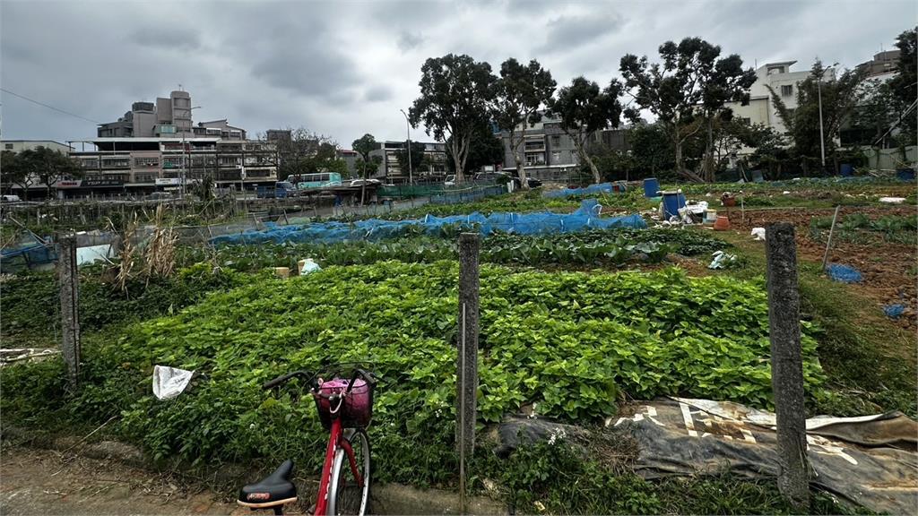 快新聞／抓到了！種菜起衝突「78歲翁遭刺死」　兇嫌新莊落網