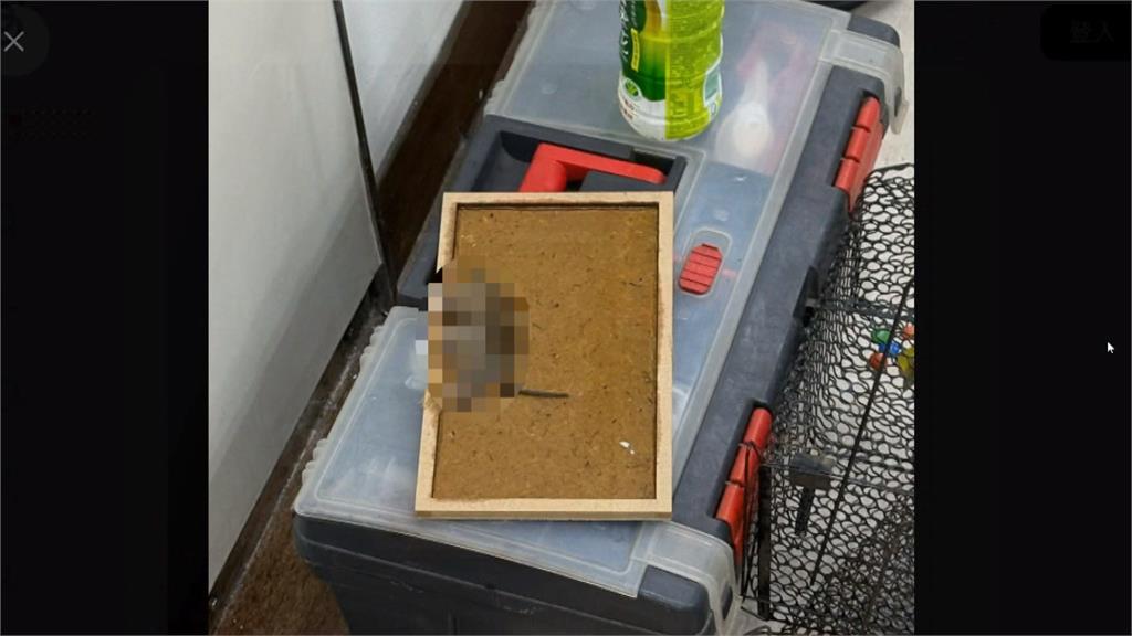 安鼠之亂燒進立院! 苦主郭國文PO問"誰該負責?