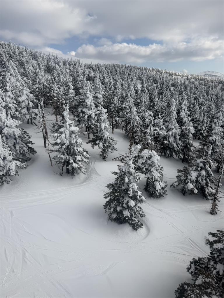獨家／連夜大雪　日本藏王樹冰「雪中地藏」奇景再現