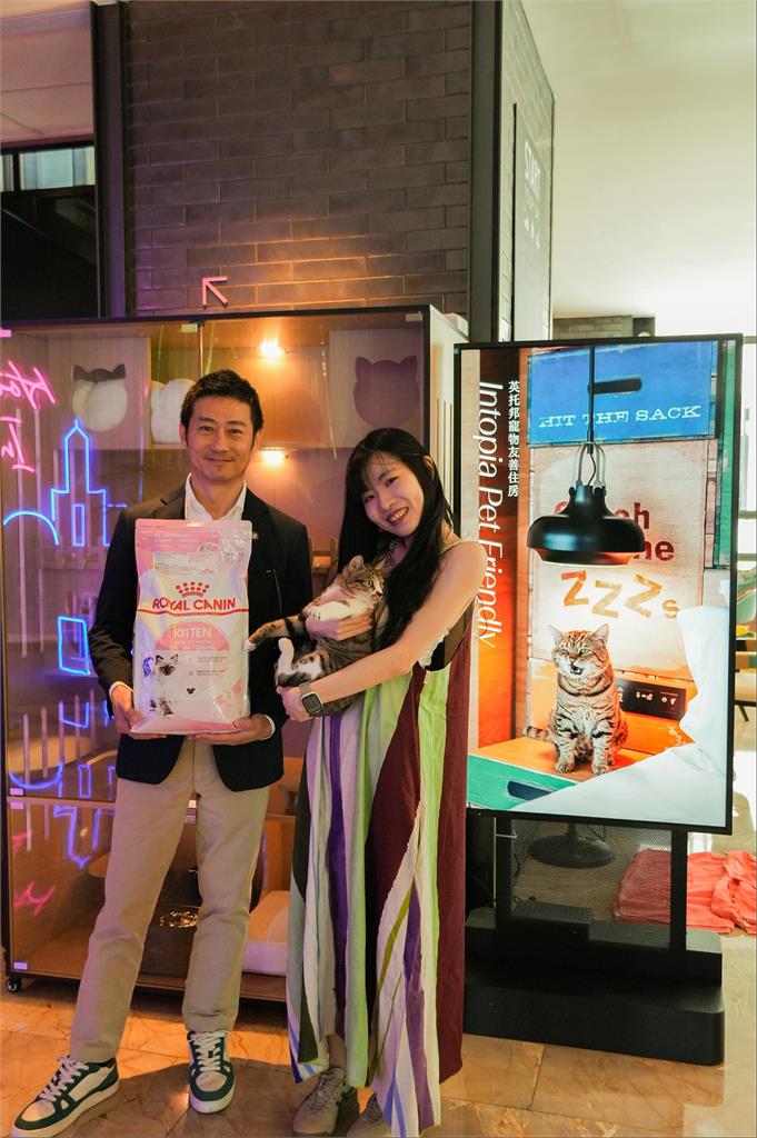 快新聞／「毛經理」接待！高雄動保處攜英迪格酒店　助5隻浪浪成功送養