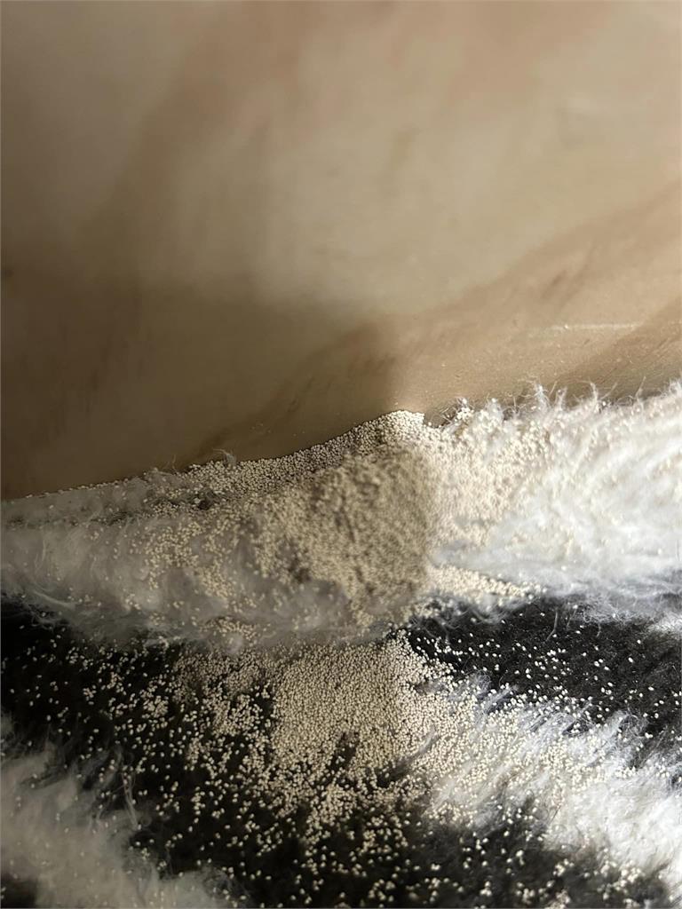 床邊每天掉出蟲卵?網看照片嚇壞「快處理」 詭異顆粒真面目曝光