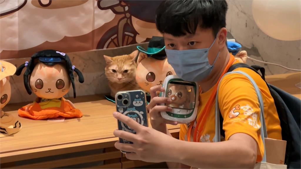 獨／蜜柑站長6歲生日辦粉絲見面會　高捷加碼做「這件事」與乘客同樂
