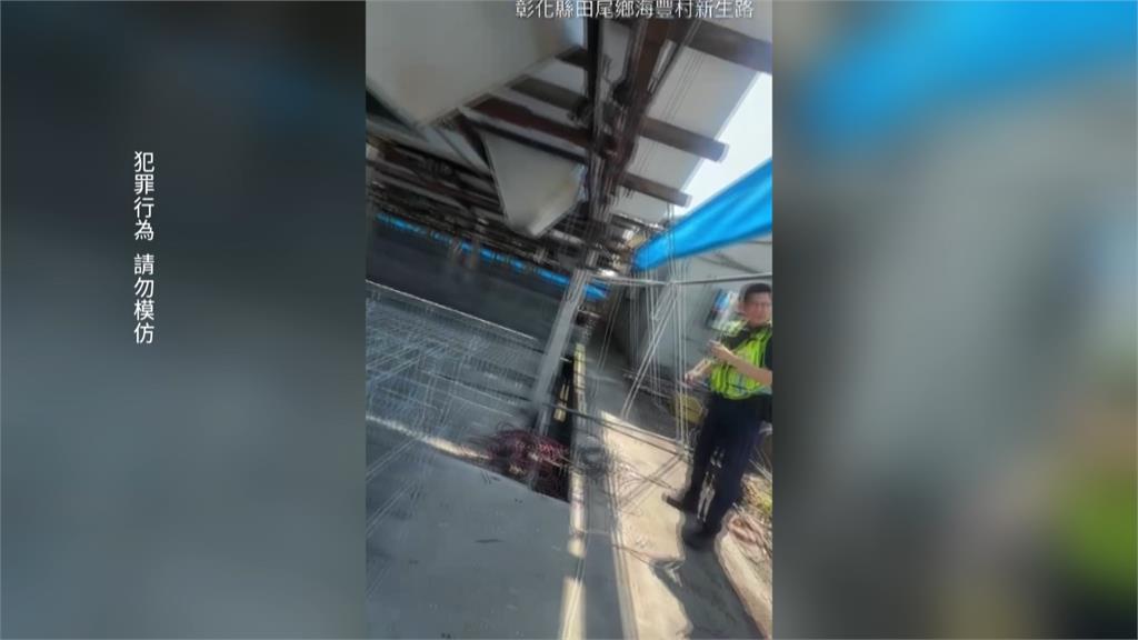 拜託原諒我！彰化慣竊闖雞舍偷電纜線　當場遭逮下跪求饒