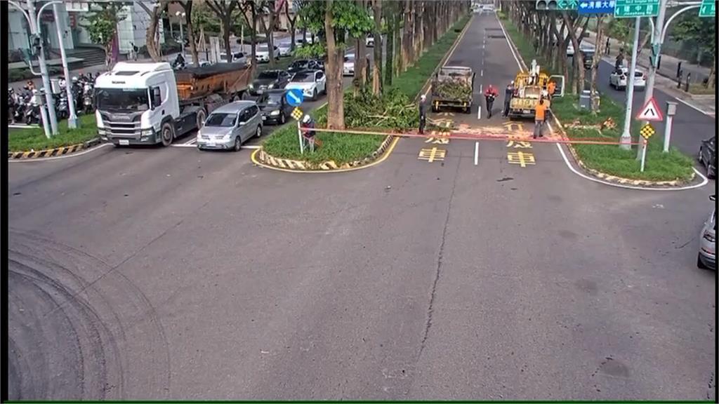 鳳凰颱風外圍環流發威！　新竹工地鷹架、路樹遭強陣風吹倒